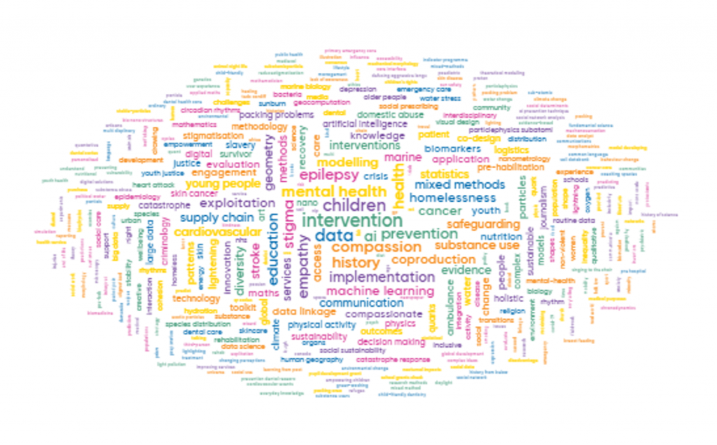 Research interests of the 2024 cohort, presented in a wordcloud